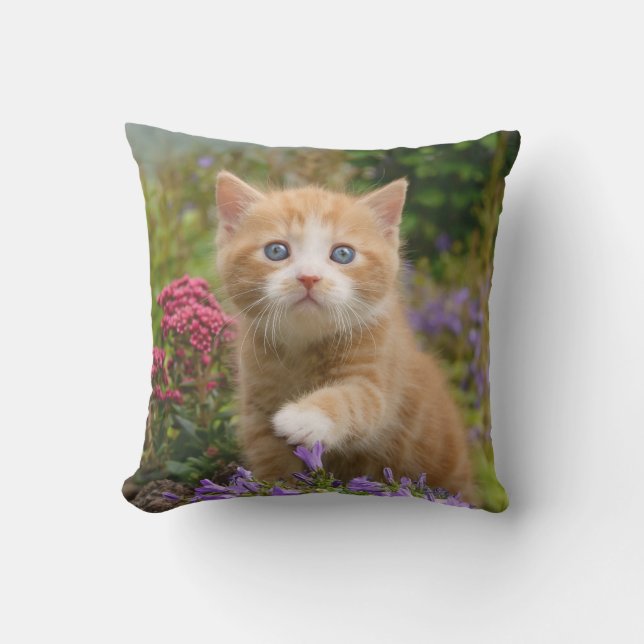 Niedlich Ginger Cat Kitten in Garden Foto - Kissen Für Draußen (Vorderseite)