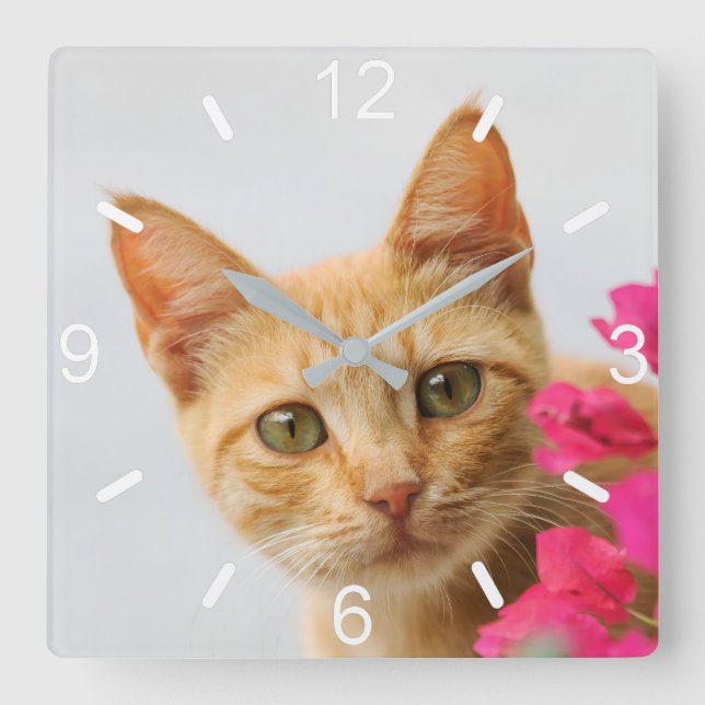 Niedlich Ginger Cat Kitten Watching Foto - Wählsch Quadratische Wanduhr (Vorderseite)