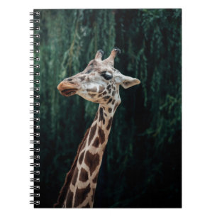 NIEDLICH GIRAFFE PORTRAIT NOTIZBLOCK