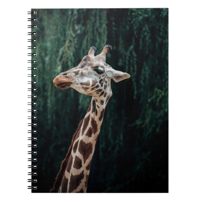 NIEDLICH GIRAFFE PORTRAIT NOTIZBLOCK (Vorderseite)