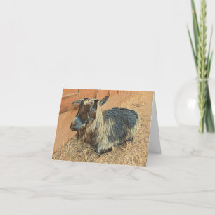 Niedlich Goat Hello - Blank Card Karte