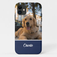 Niedlich Golden Retriever