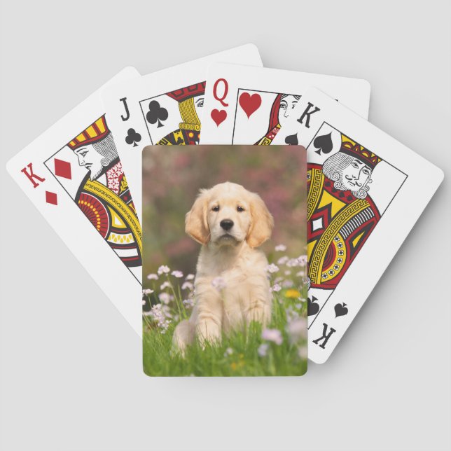 Niedlich Golden Retriever Dog Welpe Foto Portrait  Spielkarten (Rückseite)
