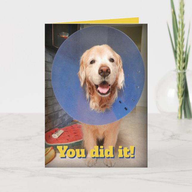 Niedlich Golden Retriever mit Cone-Cone-Gratulatio Karte (Vorderseite)