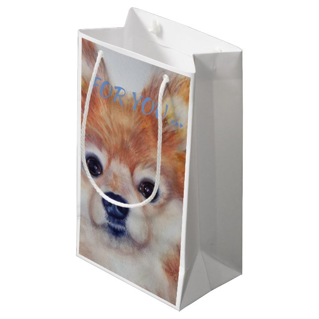 NIEDLICH GOLDEN SPITZ KLEINE GESCHENKTÜTE (Vorderseite Schrägansicht)