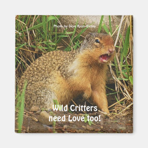 Niedlich Gopher Prairie-dogs Wildlife Magnete Magnet