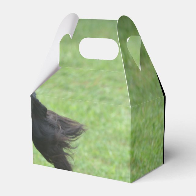 Niedlich Gordon Setter Geschenkschachtel (Vorderseite)