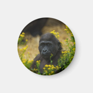 Niedlich Gorilla Baby Magnet