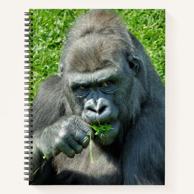 NIEDLICH GORILLA NOTIZBUCH (Vorderseite)
