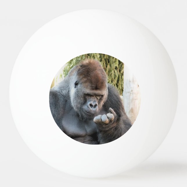 NIEDLICH GORILLA TISCHTENNISBALL (Vorderseite)