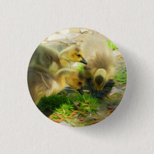 Niedlich Gosling Button