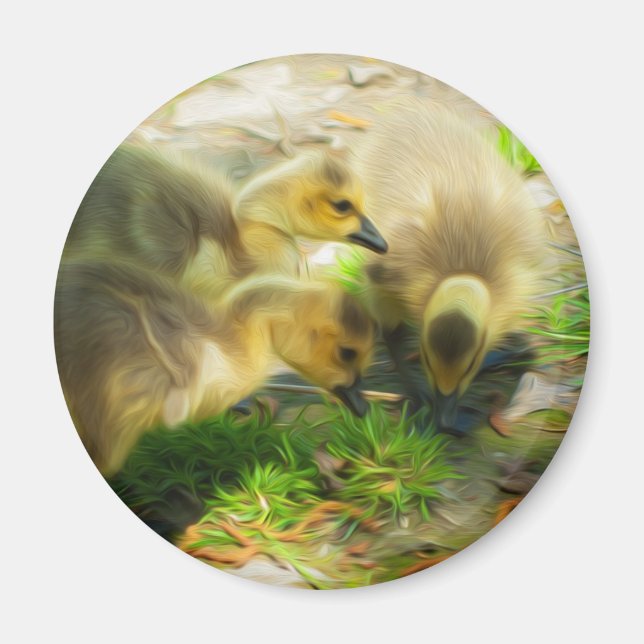 Niedlich Gosling Magnet (Vorne)