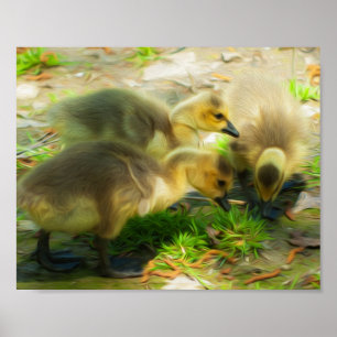 Niedlich Gosling Poster