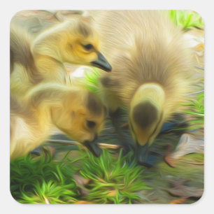 Niedlich Gosling Quadratischer Aufkleber