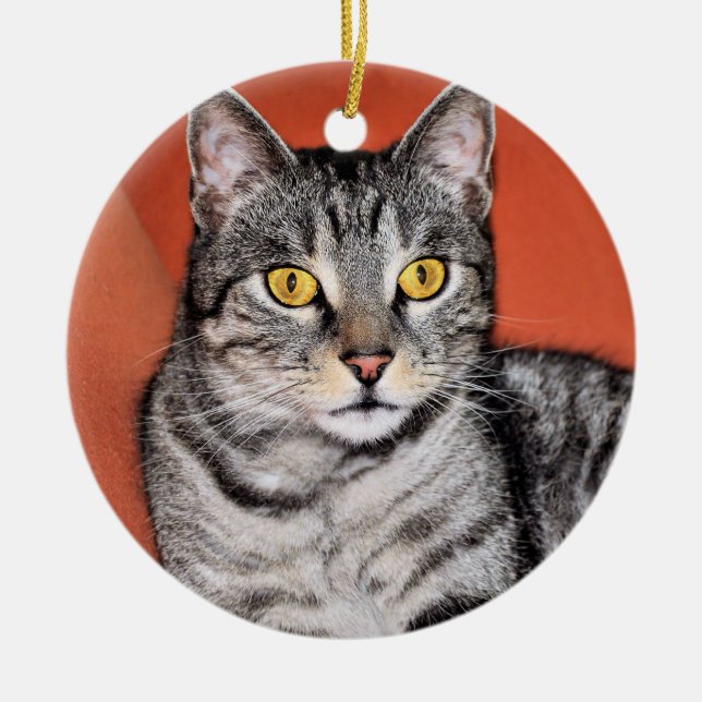 Niedlich Gray Cat Portrait Keramikornament (Vorne)