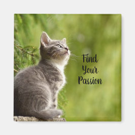 Niedlich Gray Kitten Magnet