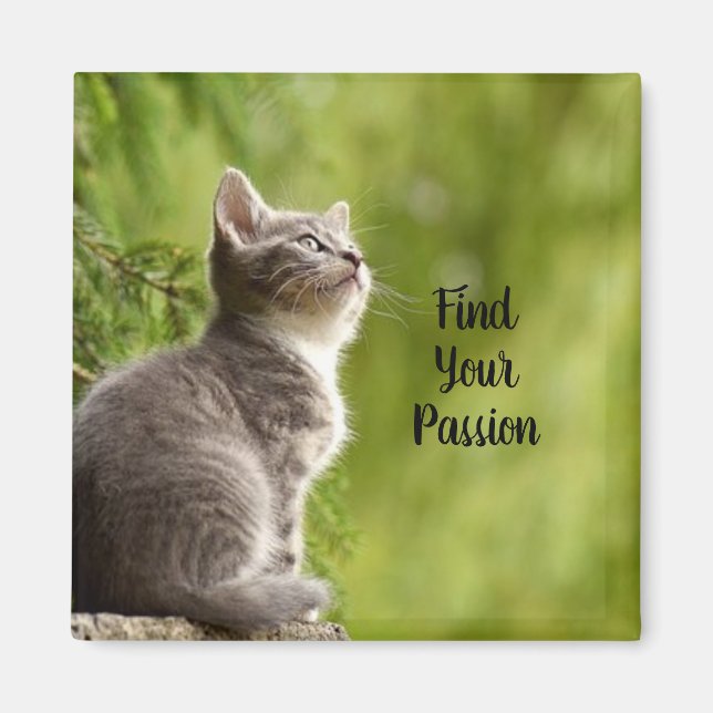 Niedlich Gray Kitten Magnet (Vorne)