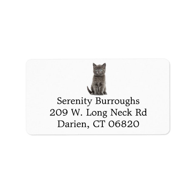 Niedlich Gray Kitty Cat Lover Gray Kitten Adressaufkleber (Vorne)