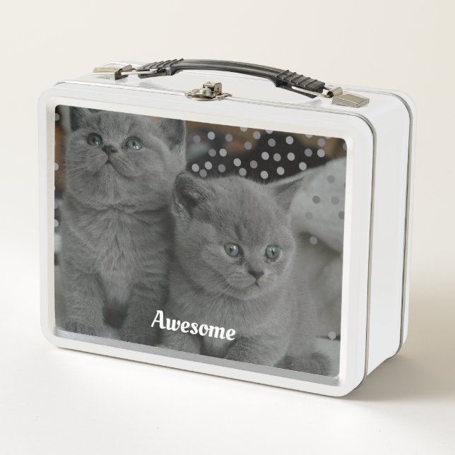 Niedlich Gray Kitty Cats Metall Brotdose (Vorderseite)