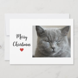 Niedlich Gray Sleepy Cat Chritsmas Liebe Feiertagskarte