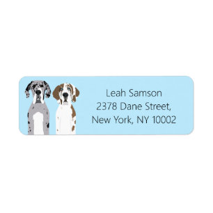 Niedlich Great Dane Hunde Blue