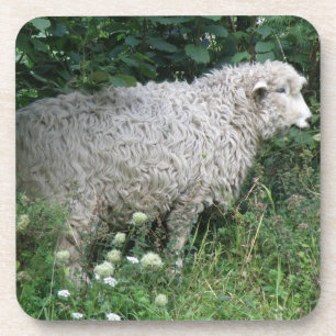 Niedlich Greedy Sheep Eating Cork Untersetzer