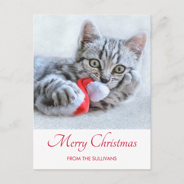 Niedlich Grey Tabby Cat Weihnachtsfeiertag Xmas Postkarte (Vorderseite)