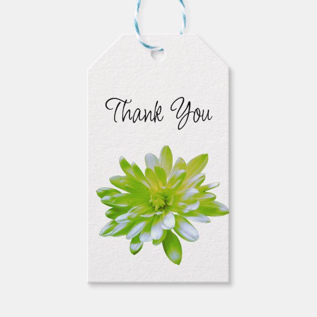 Niedlich grüne blühende Blume Grün daisy Geschenkanhänger (Vorderseite)