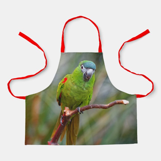 Niedlich Hahns Red Shoulded Mini Macaw Parrot Bird Schürze (Vorderseite)