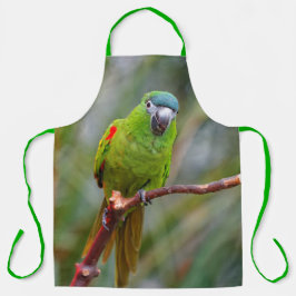Niedlich Hahns Red Shoulded Mini Macaw Parrot Bird Schürze