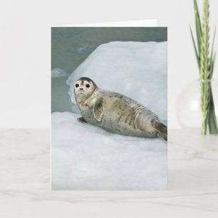 Niedlich Harbour Siegel on Snow Karte