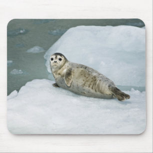 Niedlich Harbour Siegel on Snow Mousepad