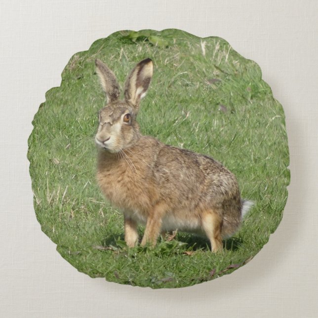 Niedlich Hare Nah up Round Kissen (Vorderseite)