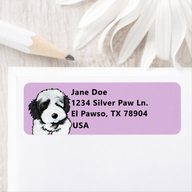 Niedlich Havanese (Insitu)