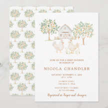 Niedlich Hennen Farm Barn Baby Dusche