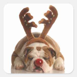 Niedlich Holiday Puppy Stickers