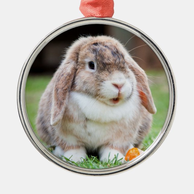 Niedlich Holland Lop Zwarf Kaninchen Ornament Aus Metall (Vorne)