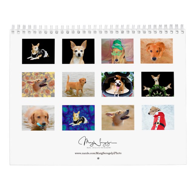 Niedlich Hunde Foto Art Design 2024Monatlich Kalender (Rückseite)