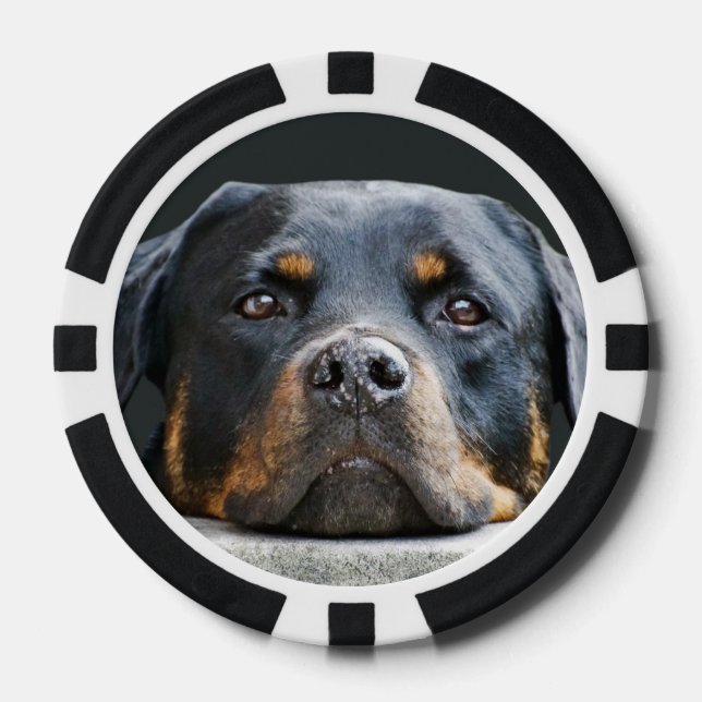 Niedlich Hunde Foto Poker Chips (Vorderseite)