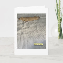 Niedlich, ich war beschäftigt, Dachshund Karte