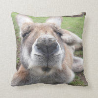Niedlich Kangaroo Funny Face Australien Wildlife F