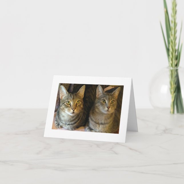 Niedlich Katzen Foto Tabby Kätzchen Dankeskarte (Vorderseite)