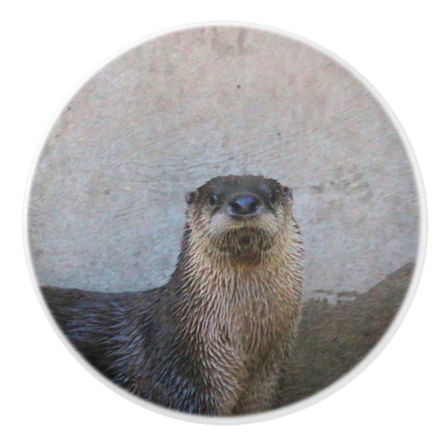 Niedlich Keramikknauf (Vorderseite)