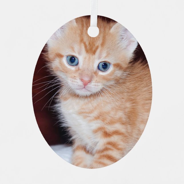 Niedlich Kitten 1 Vertikales Foto Ornament Aus Metall (Vorderseite)