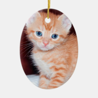Niedlich Kitten 2 Foto Vertikales Oval Keramik Ornament