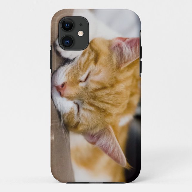 Niedlich Kitten Case-Mate iPhone Hülle (Rückseite)