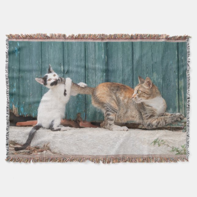 Niedlich Kitten Chasing Mama Schwanz Funny Cat Fot Decke (Vorderseite)