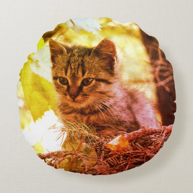 Niedlich Kitten Foto Baby Cat Runder Kissen (Vorderseite)