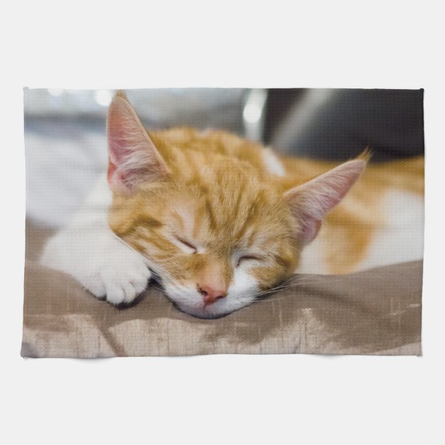 Niedlich Kitten Handtuch (Horizontal)
