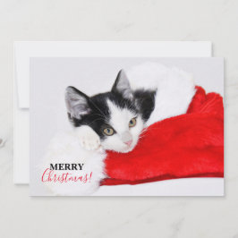 Niedlich Kitten in Weihnachtsmannmütze Feiertagskarte